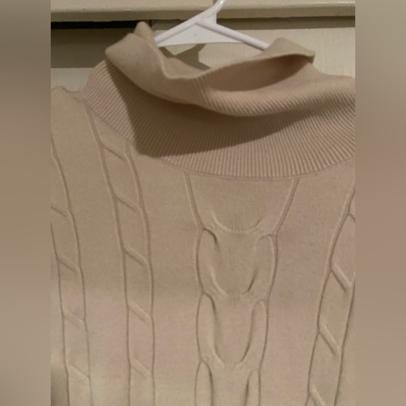 LEANI XL Turtleneck Sweater - Picture 4 of 6